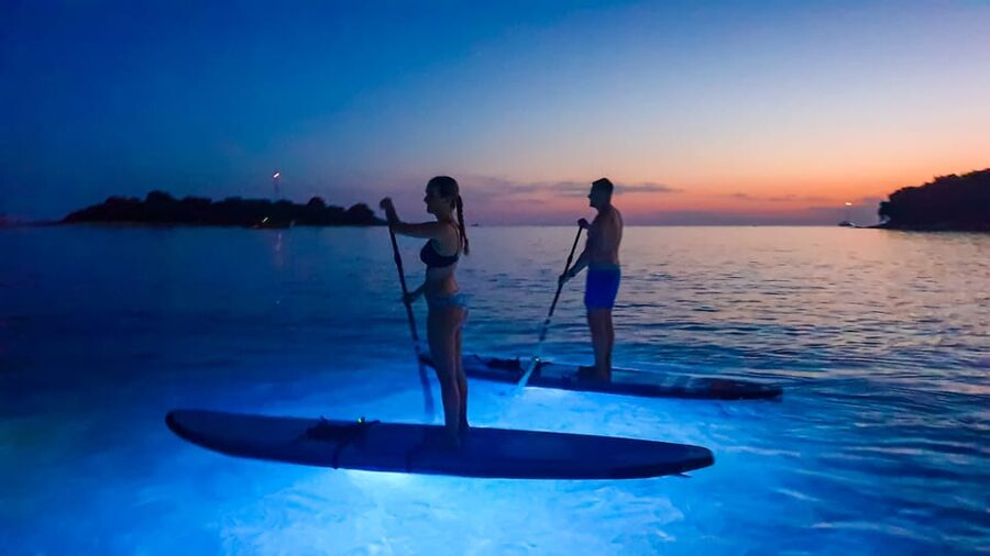 1.5-hour Clear Kayak Rental: Discover the Underwater World - Safety and Rules You Should Know Before Booking