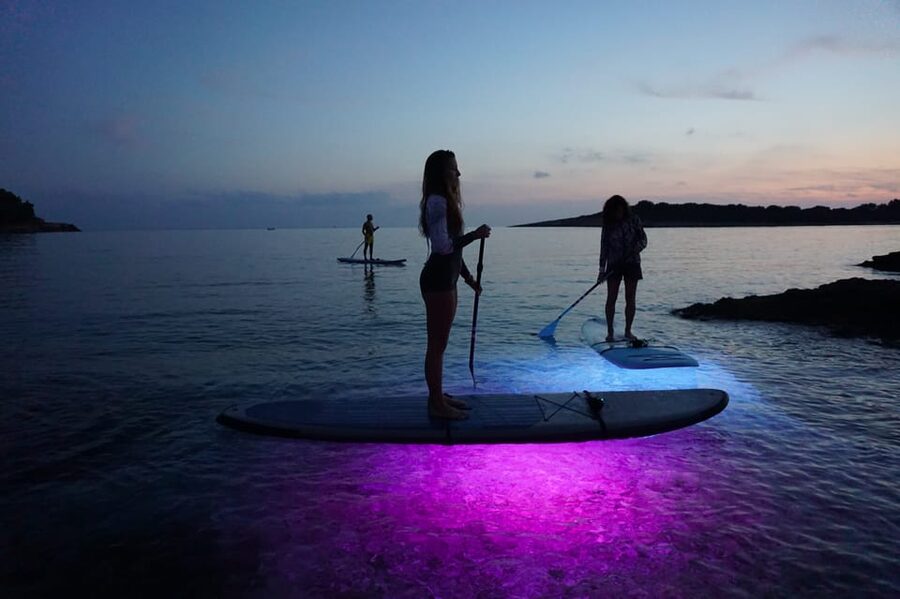 1.5-hour Clear Kayak Rental: Discover the Underwater World - Price and Value: How $32 for 90 Minutes Really Adds Up