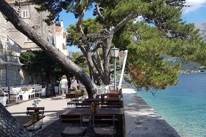 1 Hour Private Walking Tour in Korcula - Marco Polo Connections and the Stories That Stick