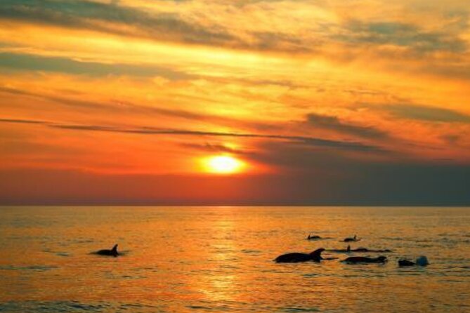 3hours all inclusive Sunset&Dolphin Tour from Medulin on Sandra - Price and Value: Is $54.42 Worth It?