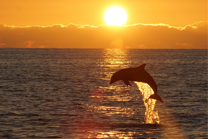 3hours all inclusive Sunset&Dolphin Tour from Medulin on Sandra - Weather, Sea Conditions, and What to Expect If Plans Shift