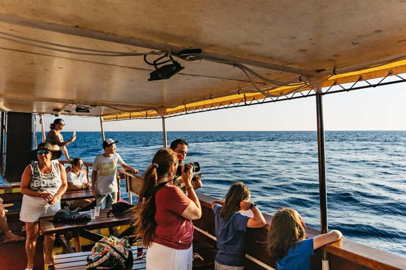 3hours Dolphin Sunset watching with unlimited drinks +dinner - Where You Meet, What to Bring, and How to Avoid a Harbor-Wait Problem