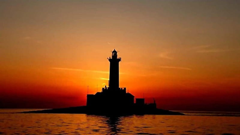 3hours Dolphin Sunset watching with unlimited drinks +dinner - Price and Value: Is $53 Worth It for This Much Included?