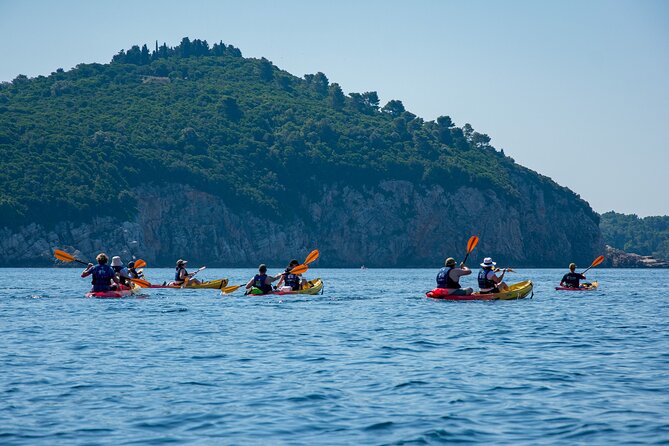 Afternoon Dubrovnik Guided Kayaking Tour - Kayaking logistics you should plan for before you go