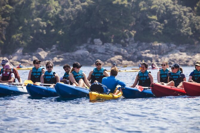 Afternoon Kayaking in Dubrovnik - Key highlights you’ll feel on the water