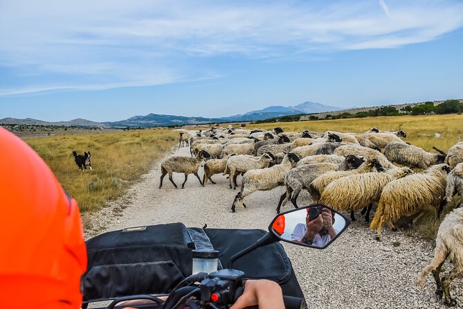 ATV Dinara Mountain tour with picnic - Cetina River canyon and the picnic: where the day slows down