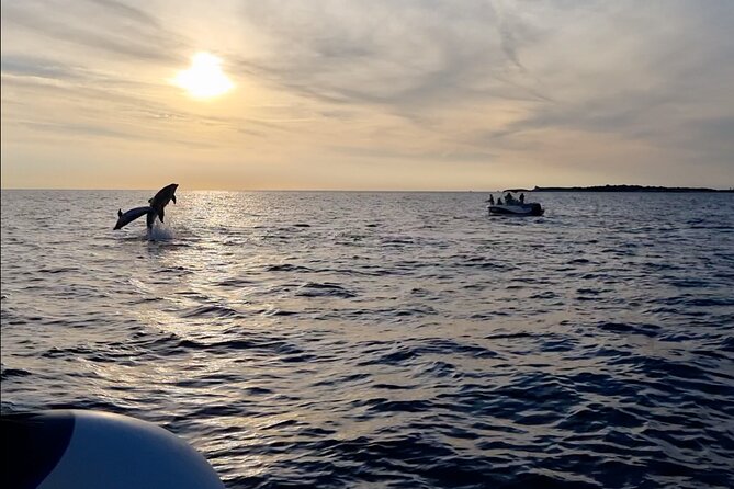 Beautiful Sunset and Dolphin Watching - From Fažana to Brijuni: why this short cruise works