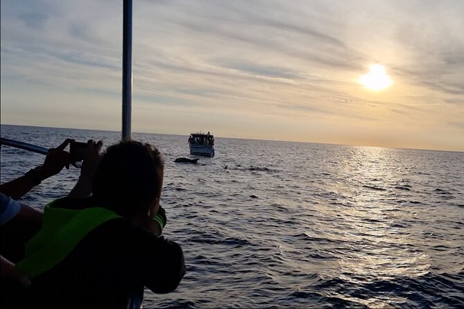 Beautiful Sunset and Dolphin Watching - What’s included (and what isn’t): travel light on purpose