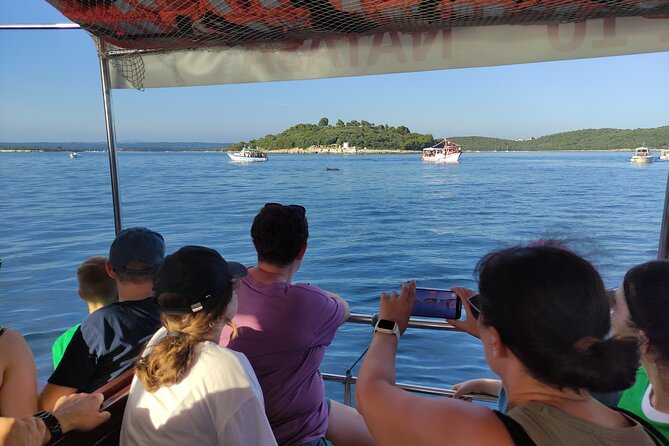 Beautiful Sunset and Dolphin Watching - Boat vibe and group size: what to expect on board