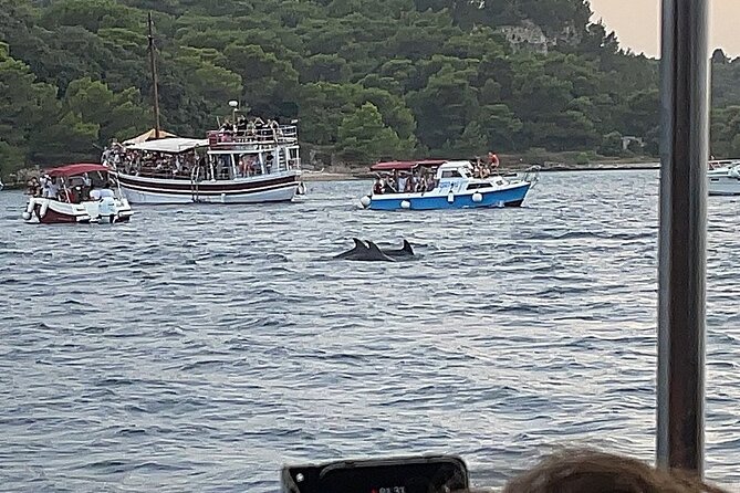 Beautiful Sunset and Dolphin Watching - Practical details: meeting point and timing that won’t waste your day