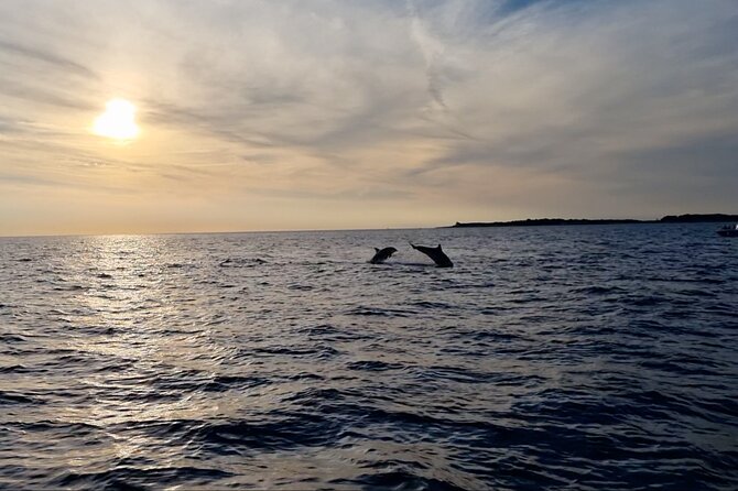 Beautiful Sunset and Dolphin Watching - Who should book this cruise, and who might prefer something else