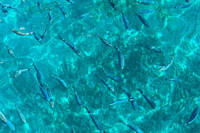 Bespoke private boat tour from Split & Trogir with a local expert - Snorkeling and swim logistics: what’s handled for you