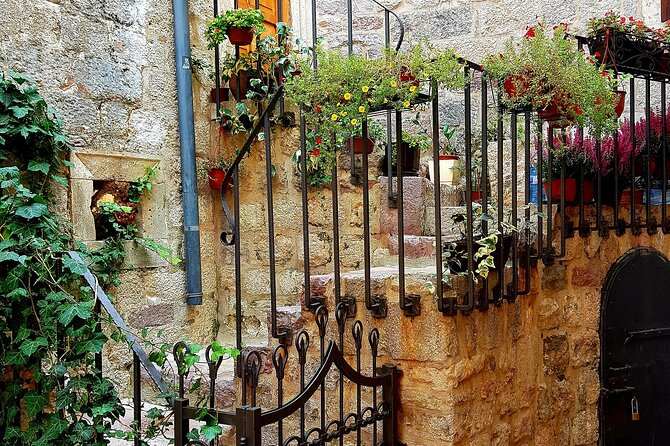 Best of Montenegro and Kotor private tour - Who this tour suits best (and who might prefer something else)