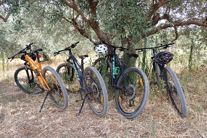 Bike & Wine Korčula Adventure - Half Day Guided Bike Tour - The Ride to Lumbarda, Fields, and an Old Water Point