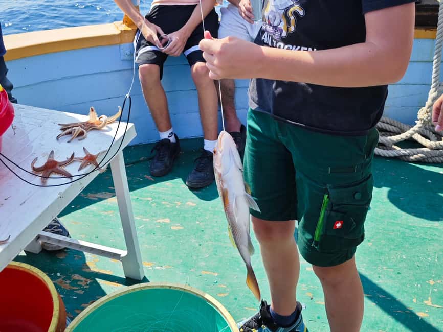 Biograd: Authentic Family friendly Fishing tour in Croatia. - Lunch on the island: the catch becomes the meal