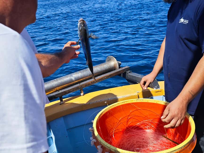 Biograd: Authentic Family friendly Fishing tour in Croatia. - Who this tour is best for (and who might not enjoy it)