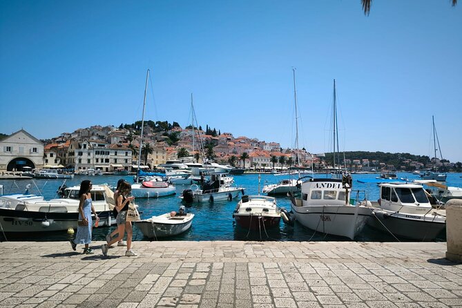 Blue cave and Hvar - 5 Islands speedboat tour from Split - Budikovac Island Blue Lagoon: swimming and snorkeling on a tight clock