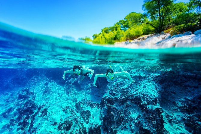 Clear Adriatic water over a rock shelf below a pine-covered island