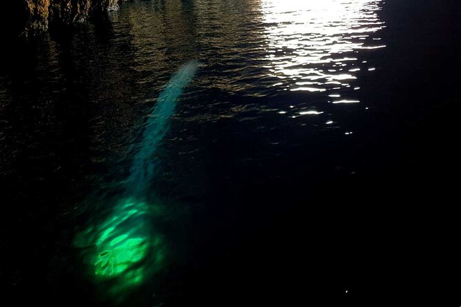 Blue & Green Cave Vis Island and Pakleni Islands Private Day Trip from Hvar - Stop 1: Budikovac Island, the easy swim start
