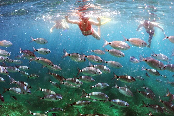 BOAT & KAYAK! Sea Adventure - Snorkeling & Cliff Jumps - Key highlights worth planning around