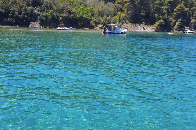 Boat Tour to the Zadar Islands - Morning or afternoon cruise: picking the slot that matches your day