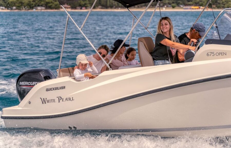 Brijuni Islands: Sunset & Dolphins private boat tour - What Else You Might Spot on the Return to Fažana