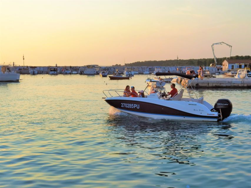 Brijuni Islands: Sunset & Dolphins private boat tour - The Dolphin Search on the Adriatic: Kings of the Sea in Motion