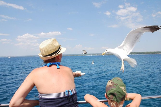 Brijuni National Park Boat Excursion from Pula. With a visit to the island - Who should book this Brijuni boat excursion from Pula