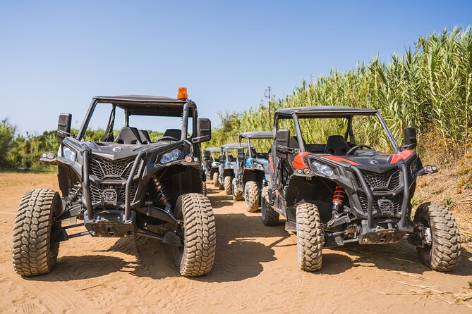 Buggy Safari With Wine Tasting - Price and Value: What You Pay for, and What You Actually Get
