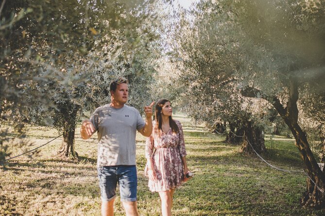 Buje: Authentic Istrian family farm, guided walk, foods & wine - What this Buje olive farm experience is really about