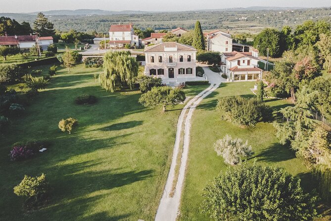 Buje: Authentic Istrian family farm, guided walk, foods & wine - The orchard stop: 31 fruit varieties and a sense of how the estate works