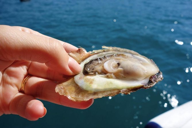 Classic Tour with Wine Tastings from Dubrovnik - A Classic Day Trip With Real Wine-Geek Value
