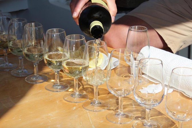 Classic Tour with Wine Tastings from Dubrovnik - Wine and Food Matching: The Part You’ll Actually Use Later