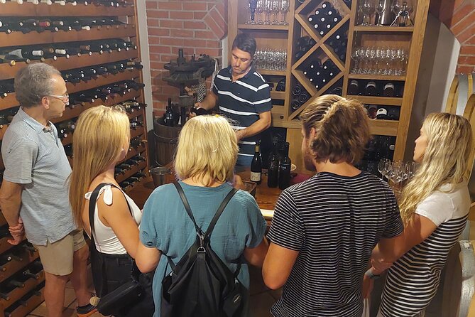Classic Tour with Wine Tastings from Dubrovnik - Duration and Physical Pace: Plan for an Active, Seated Day