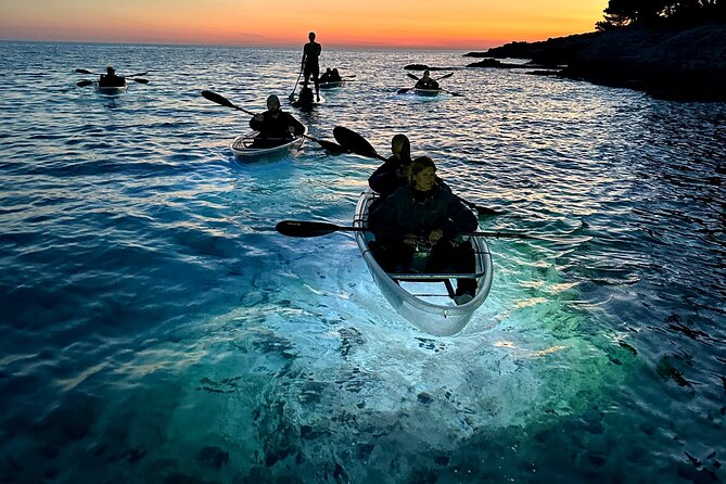 Clear Kayak Glow Night Tour - Price and Timing: Does $60.34 Feel Like Value?