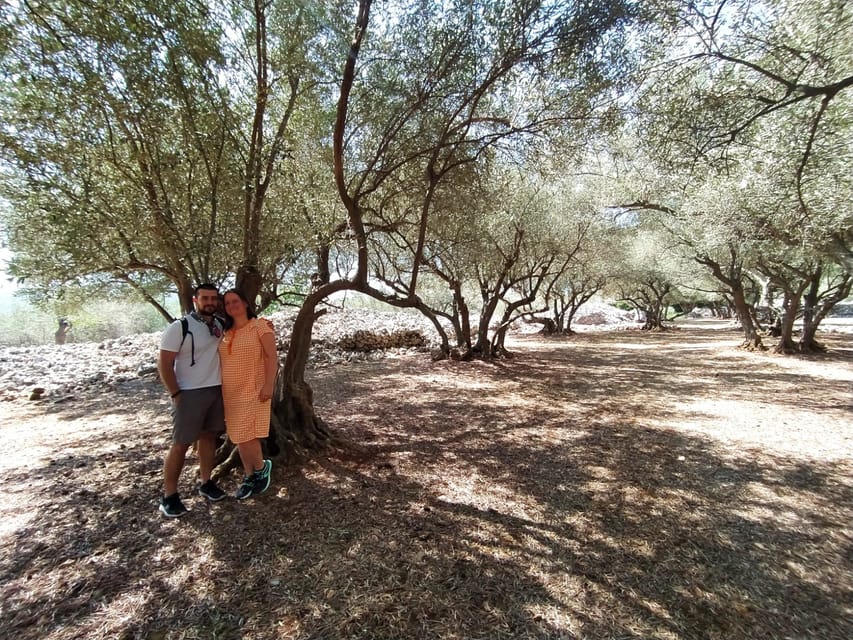 Cres: Olive Oil Walking Tour with Tastings - Timing in summer: what to expect with heat and rain