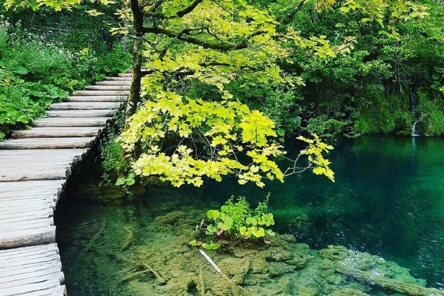 Croatia: Plitvice Lakes Private Tour with Hotel Pickup - Kozjak Lake boat transfer and the shift to the upper lakes