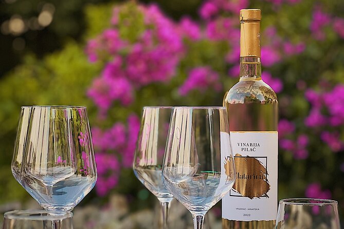 Dalmatian wine tasting by Bottiglia wine & deli - Potential drawback: bugs on the terrace and how to handle it
