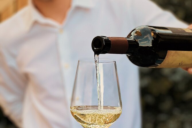 Dalmatian wine tasting by Bottiglia wine & deli - Who this suits best, and who might prefer a different tasting