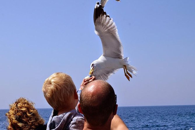 Day Cruise in the Elafiti Islands from Dubrovnik - Stop 2: Šipan, for more church-and-garden atmosphere