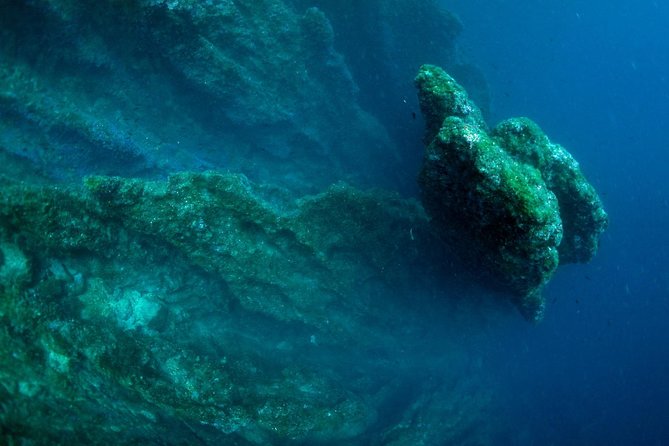 Diving day tour with 2 dives - Second underwater session: deeper options and what “5 to 40 m” means