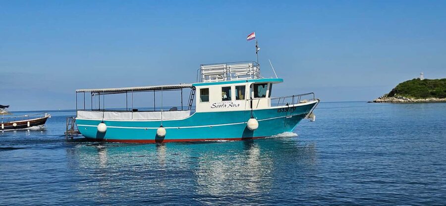 Dolphin Safari Boat Trip from Marina Funtana - Dolphin spotting: your best move is to stay watchful