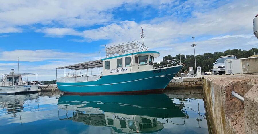 Dolphin Safari Boat Trip from Marina Funtana - Price and value: is $35 worth it?