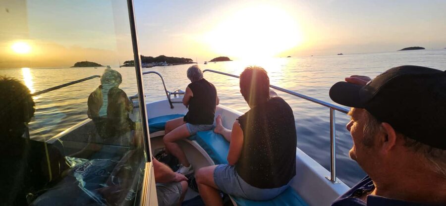 Dolphin Safari Boat Trip from Marina Funtana - Simple tips to make the most of your ride