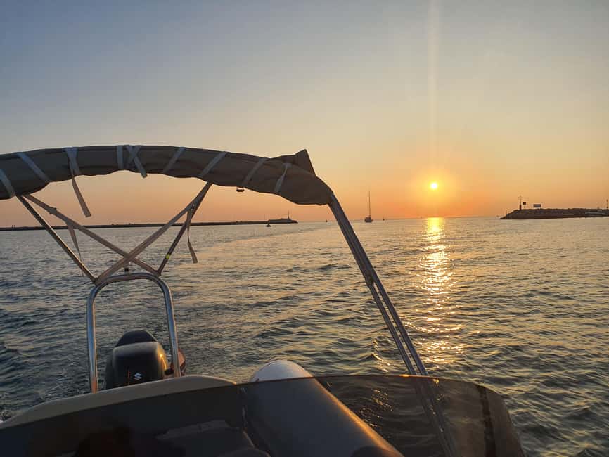 Dolphin safari every morning&evening - Why timing matters on this Istria dolphin safari