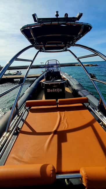 Dolphin safari every morning&evening - Dolphins are the goal, but not the only payoff
