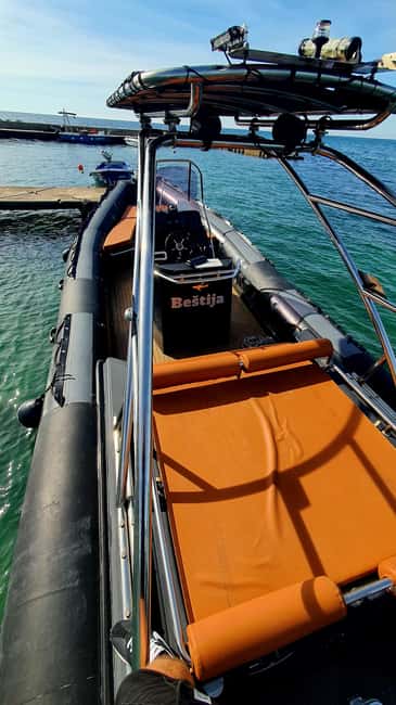 Dolphin safari every morning&evening - Small group size, real odds, and the value of being on the boat
