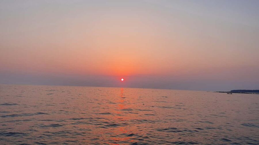 Dolphin safari every morning&evening - Practical tips: what to bring for a comfortable safari