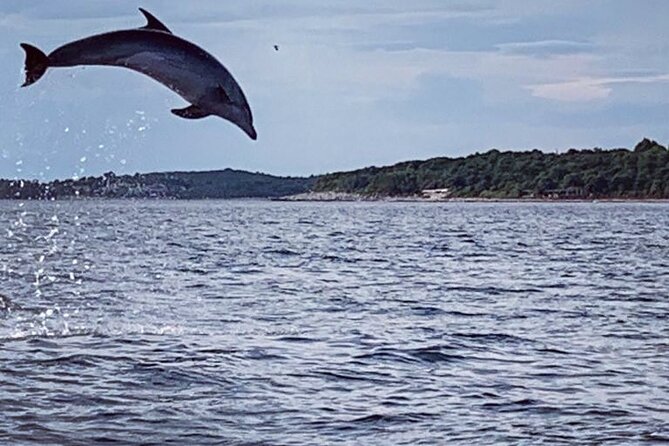 Dolphin Sunrise Adventure with Speedboat - The 6:00 AM Sunrise Window Makes This Trip Work