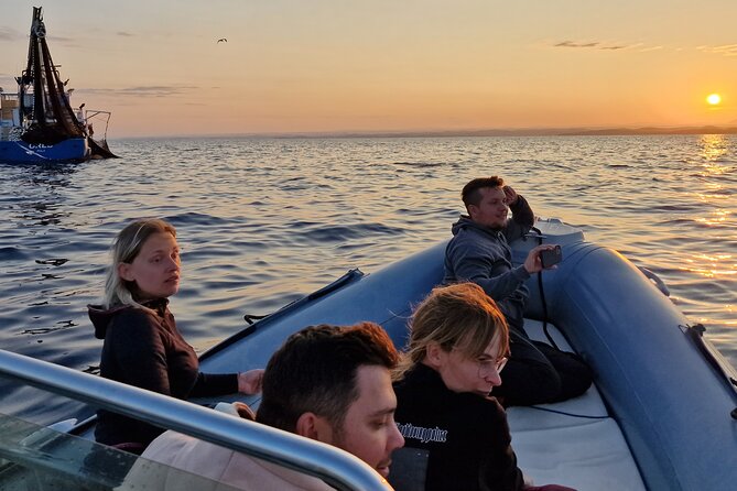 Dolphin Sunrise Adventure with Speedboat - Small Group Energy on a Speedboat